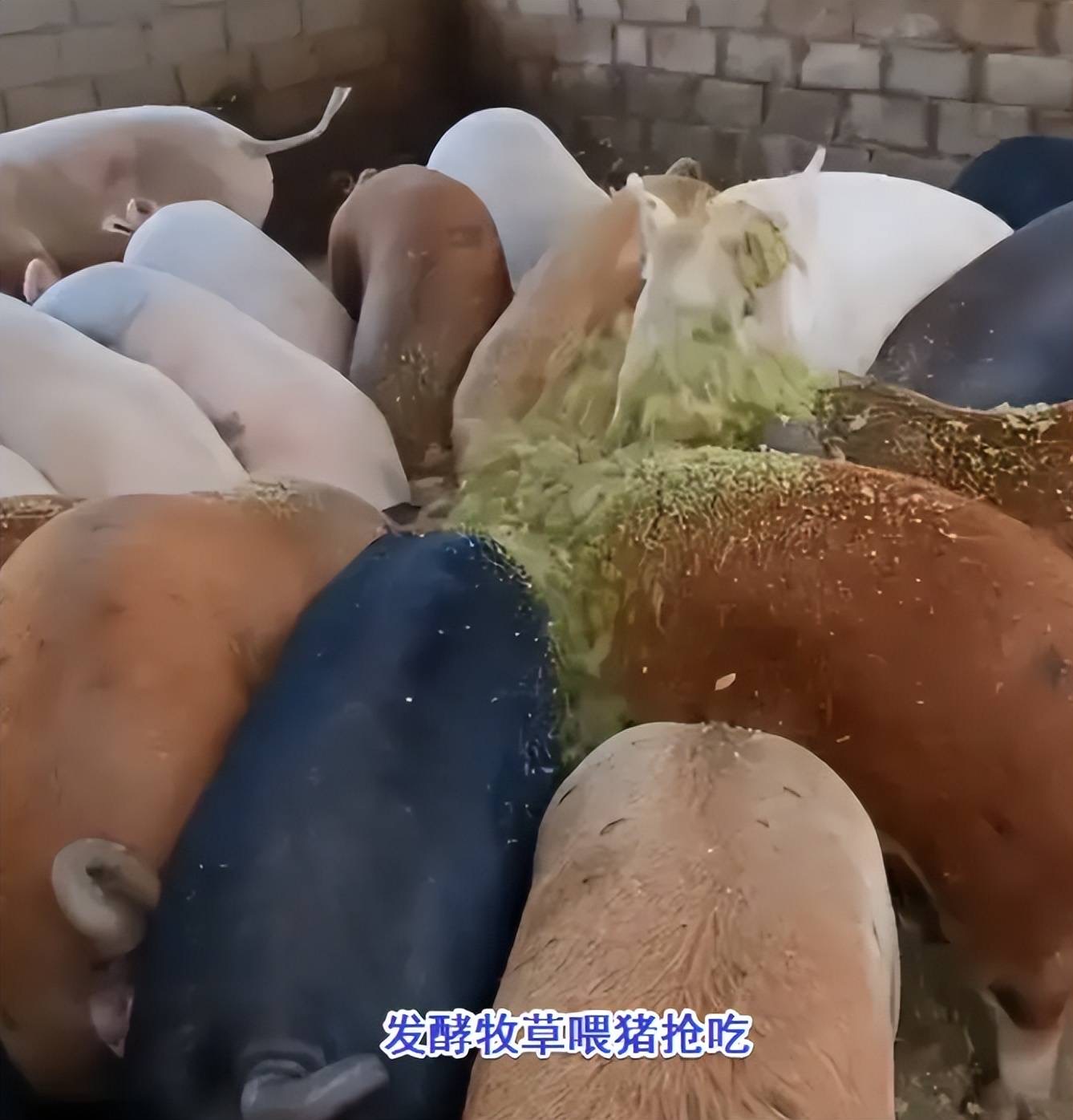 微信图片_20250723095214.jpg