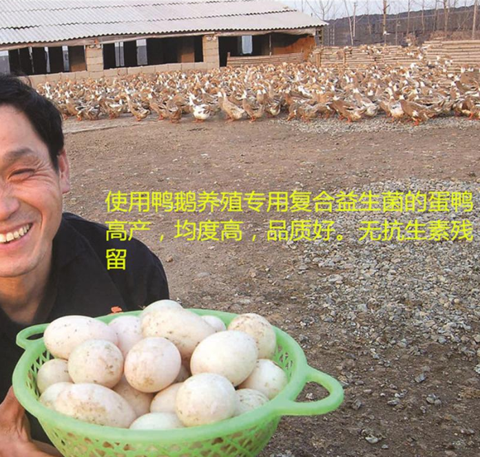 截图20250723100245.png