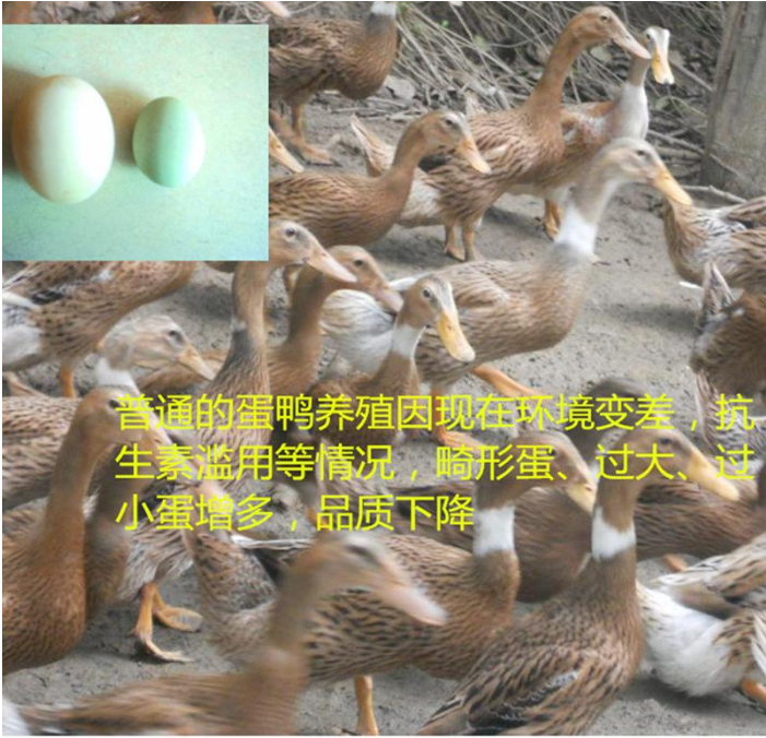 截图20250723100259.png