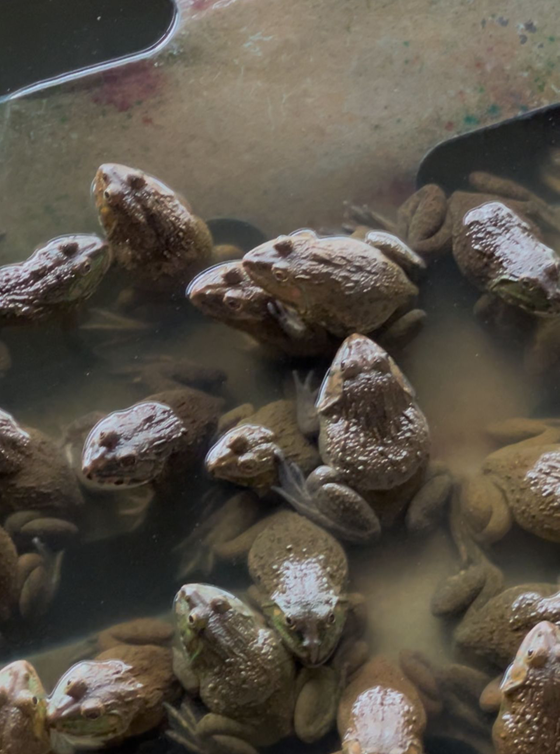 734004BF58A88BF3043943884819B28C.png 734004BF58A88BF3043943884819B28C.png