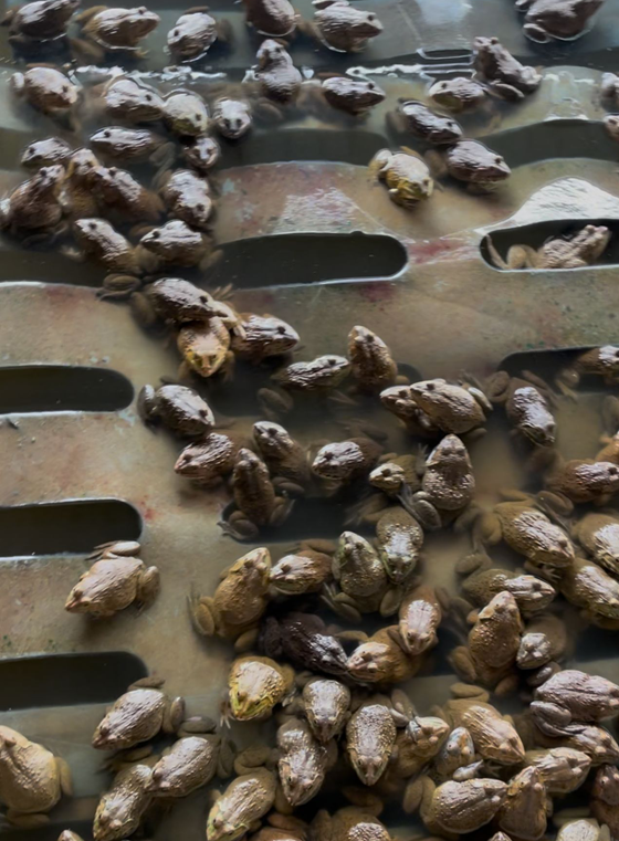 D8762F96B0ABC9EE5D686BBF90761D7D.png D8762F96B0ABC9EE5D686BBF90761D7D.png