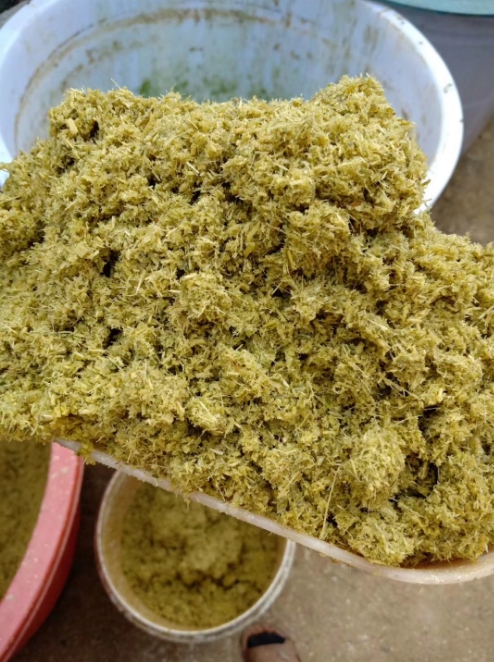 发酵牧草2.jpg