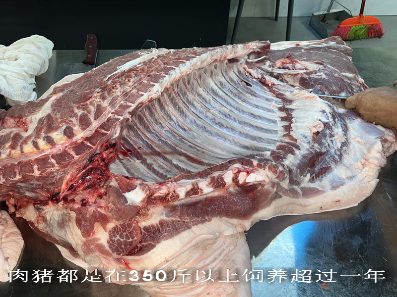 肉猪都是在350斤以上饲养超过一年.jpg