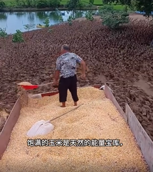 截图20250805101303.png