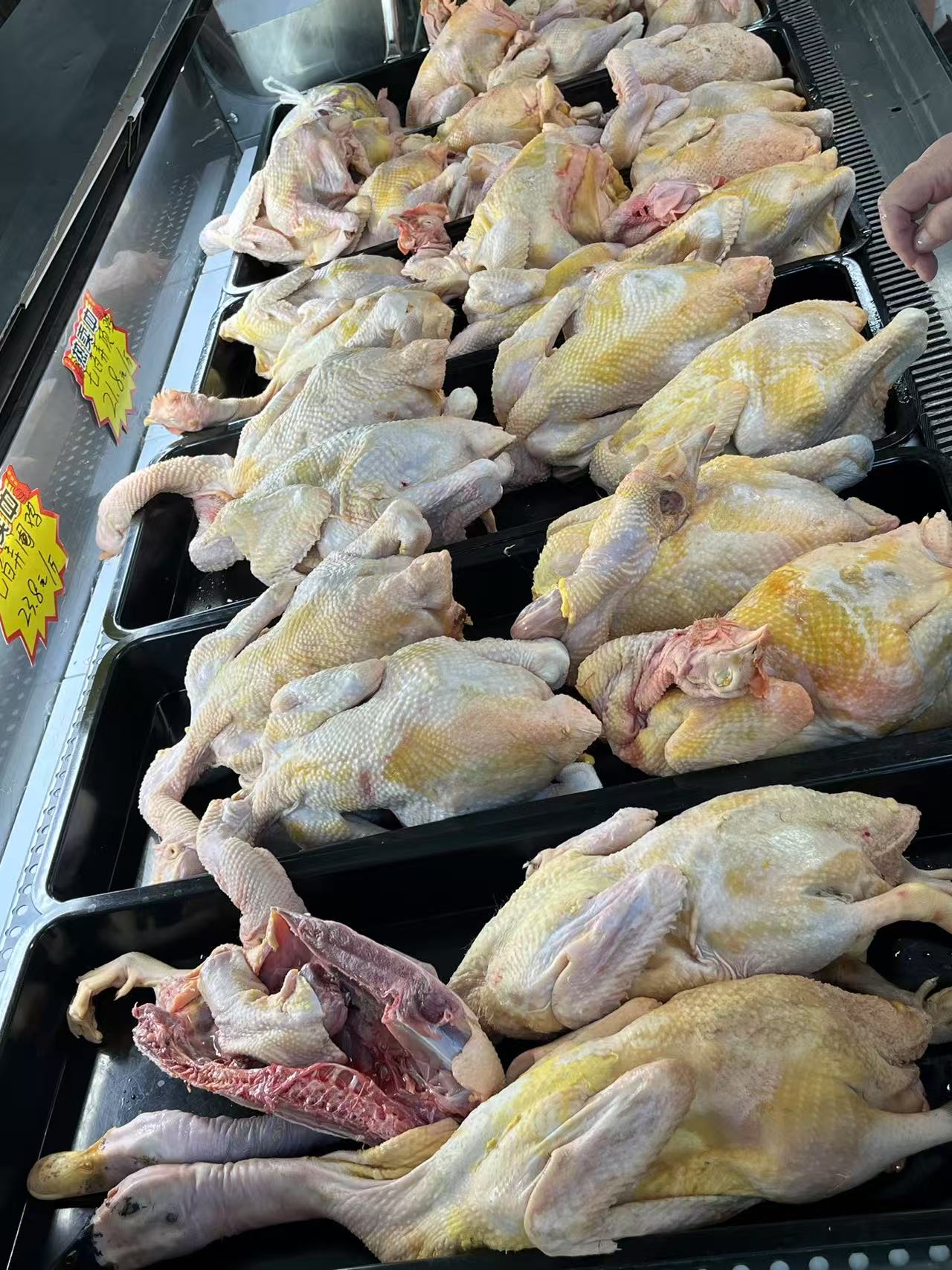 七百弄鸡和肉鸭.jpg