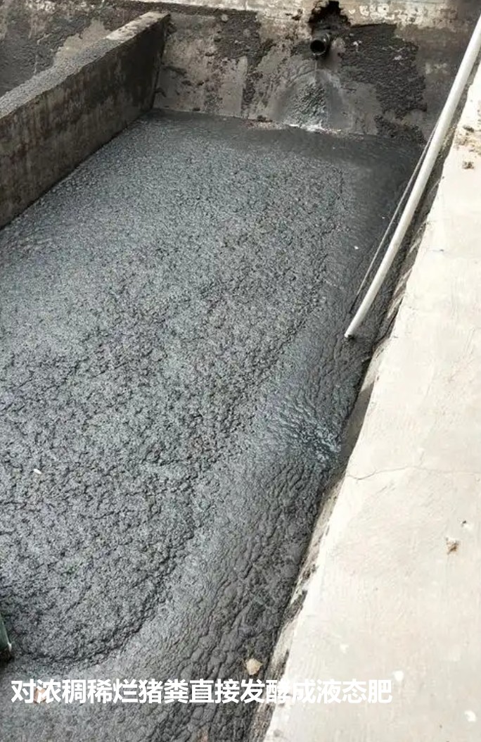 对浓稠稀烂猪粪直接发酵成液态肥.jpg