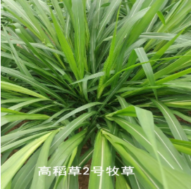 QQ图片20221212102638.png