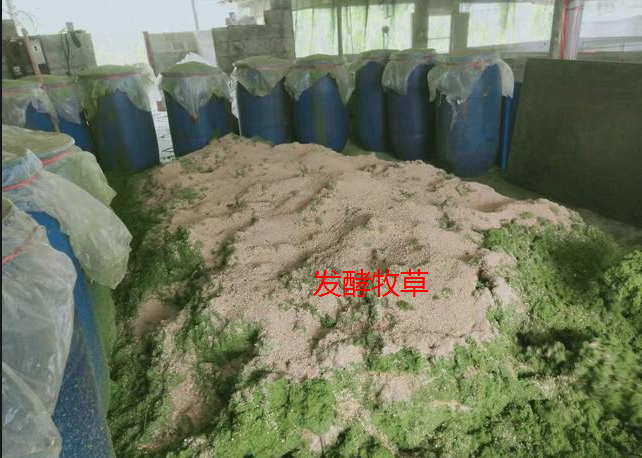 截图20250814094351.png