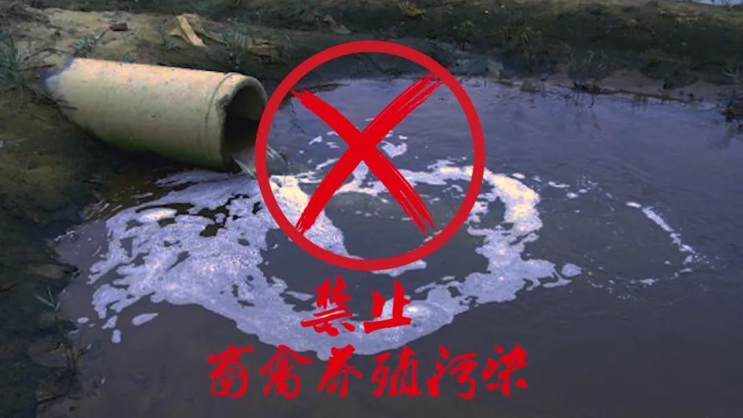 禁止畜禽养殖污染.jpg