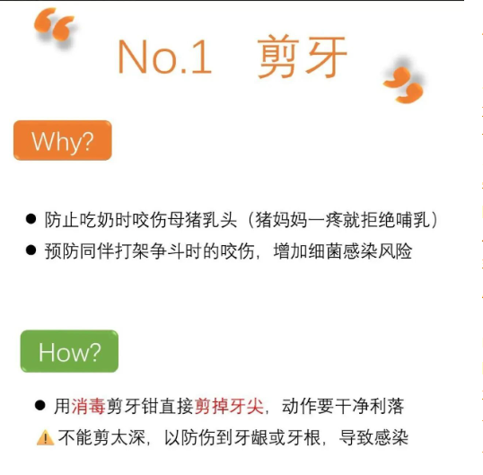 截图20250903091710.png