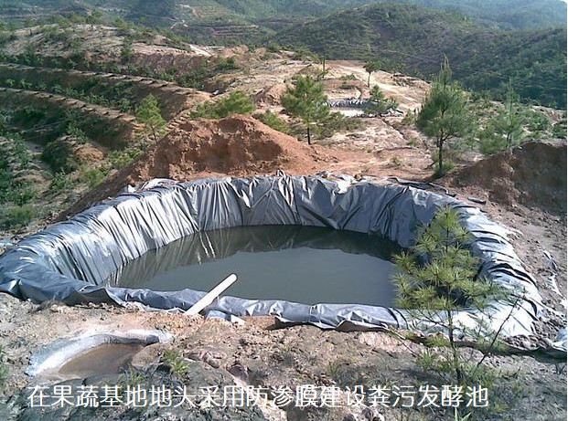 在果蔬基地地头采用防渗膜建设粪污发酵池.jpg