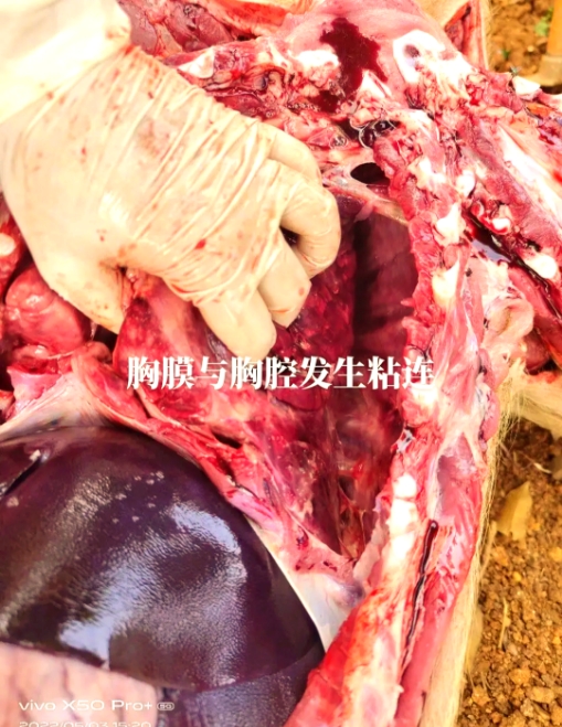微信截图_20250909092247.jpg