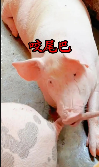 截图20250917092346.png