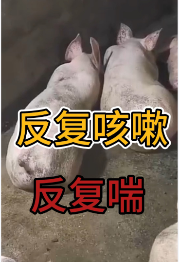 截图20250919162158.png