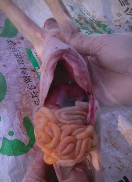 微信截图_20251023091951.jpg