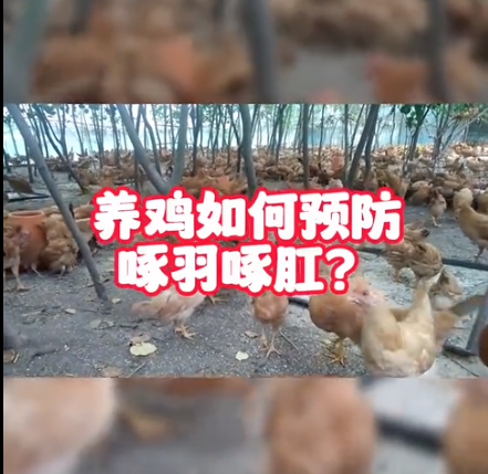 截图20251030091050.png 截图20251030091050.png