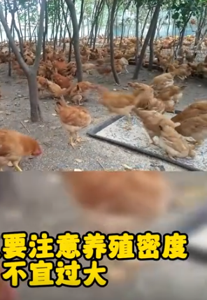 截图20251030091628.png 截图20251030091628.png