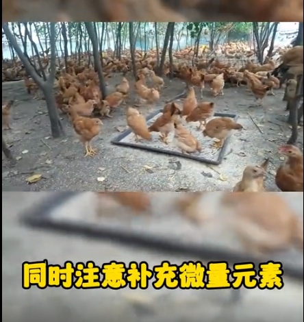 截图20251030092534.png 截图20251030092534.png