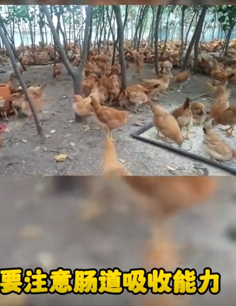 截图20251030091832.png 截图20251030091832.png