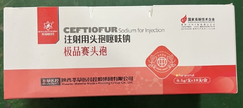 微信截图_20251106111325.jpg 微信截图_20251106111325.jpg