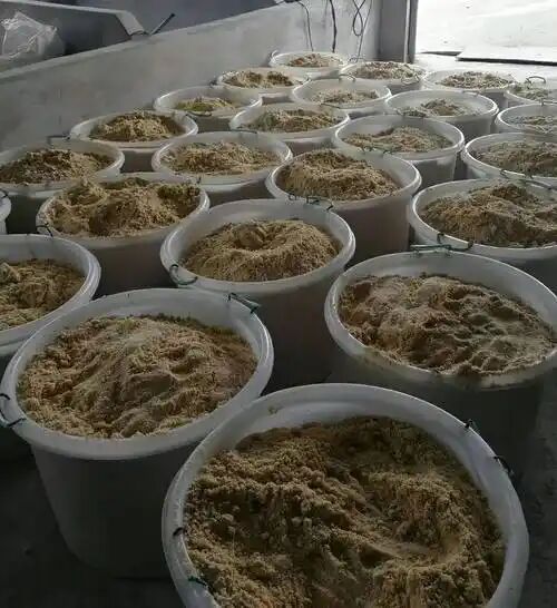 8EA0E528A35F8AE86F76CC97D3ECEF77.jpg 8EA0E528A35F8AE86F76CC97D3ECEF77.jpg