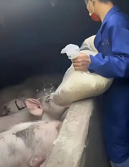 337BBAD9E57A80C47C4FFFDC0D7B7543.jpg 337BBAD9E57A80C47C4FFFDC0D7B7543.jpg