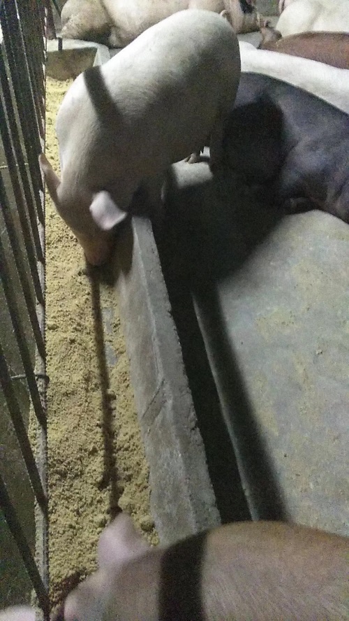 QQ图片20230720114623.jpg QQ图片20230720114623.jpg