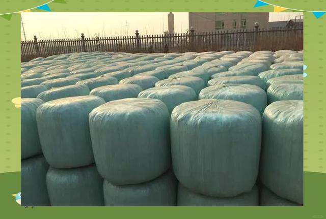 7FF0055C8898413FF5607BCADA164910.jpg 7FF0055C8898413FF5607BCADA164910.jpg