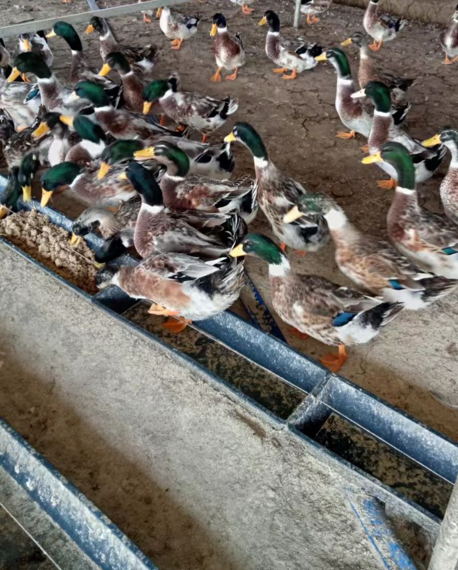 QQ图片20230720114543.jpg QQ图片20230720114543.jpg