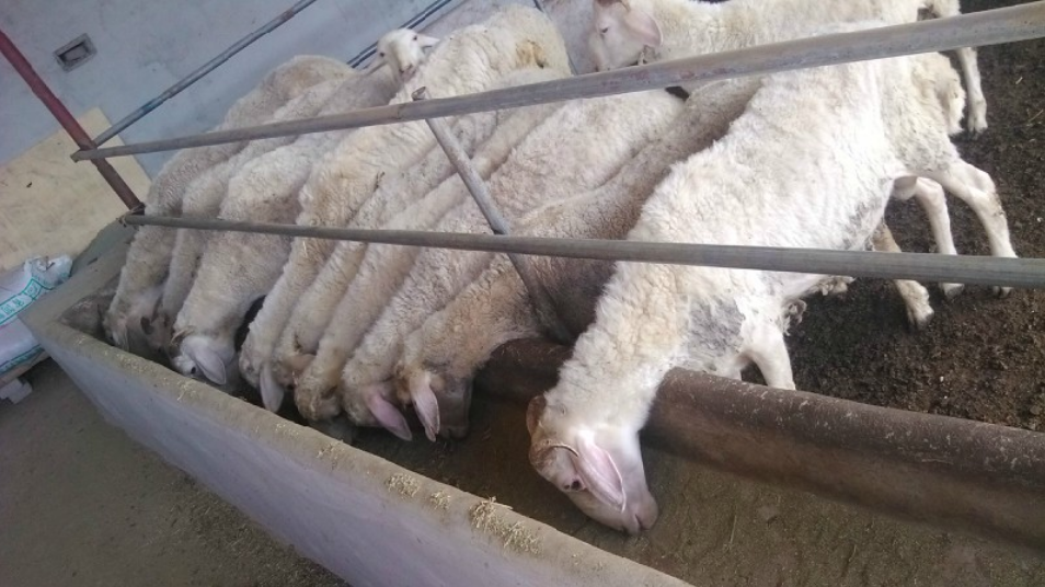 213734D2071CAE4B8B0FD5D044CB4391.png 213734D2071CAE4B8B0FD5D044CB4391.png