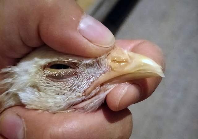 微信图片_20251118092704.jpg 微信图片_20251118092704.jpg