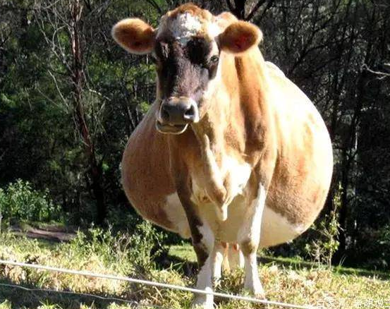 QQ图片20251118113904.png QQ图片20251118113904.png