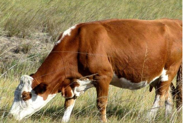 QQ图片20251118114215.png QQ图片20251118114215.png