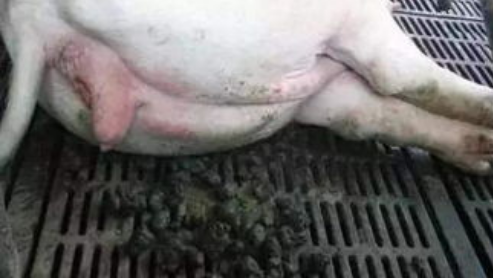 QQ图片20251119111009.png QQ图片20251119111009.png