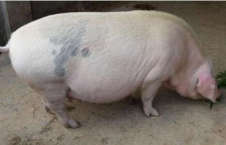 QQ图片20251119110930.png QQ图片20251119110930.png