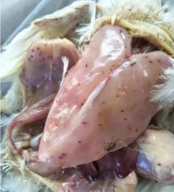 微信截图_20251208091049.jpg 微信截图_20251208091049.jpg