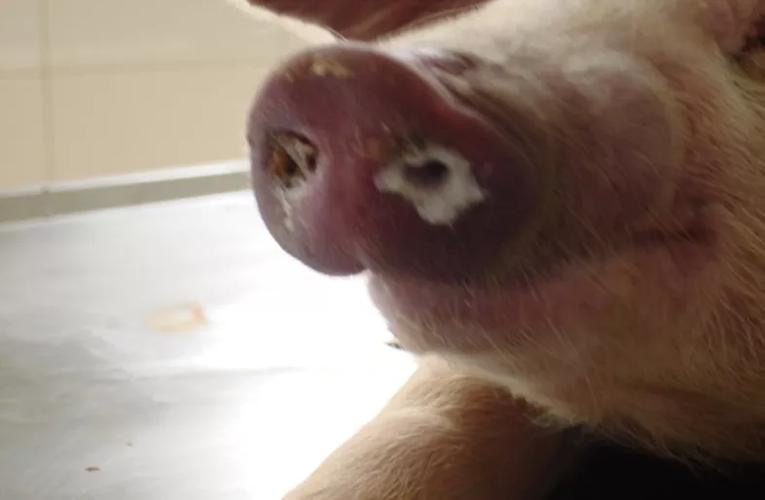 微信图片_20251218093753.jpg 微信图片_20251218093753.jpg