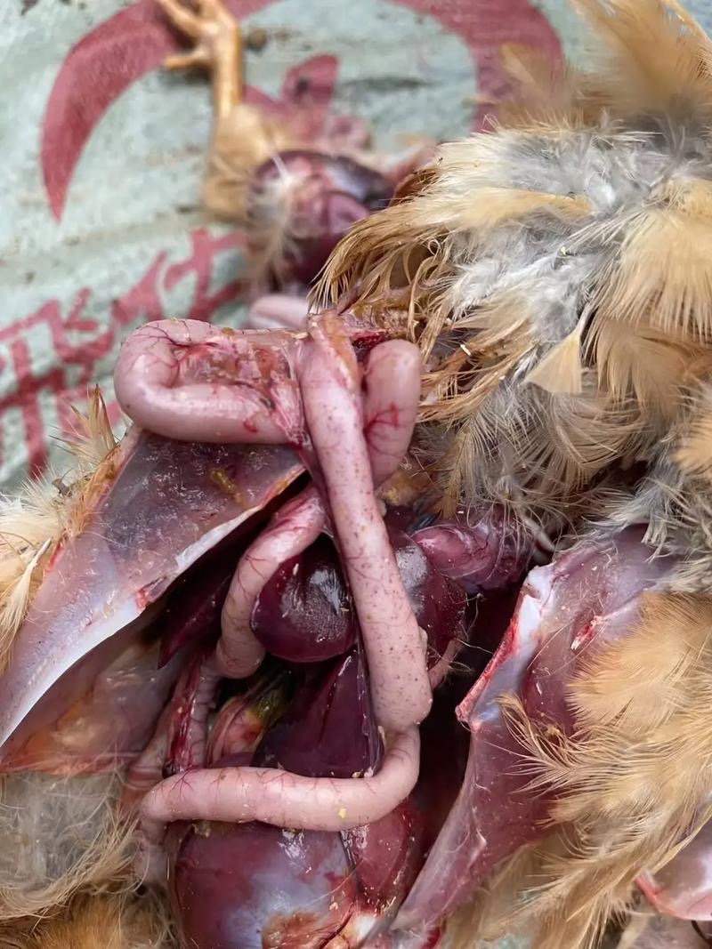 微信图片_20251226093031.jpg 微信图片_20251226093031.jpg