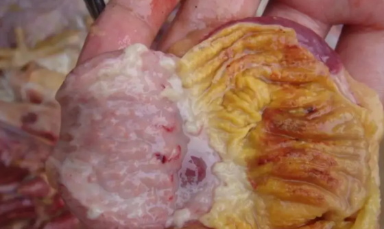 QQ图片20260105104547.png QQ图片20260105104547.png