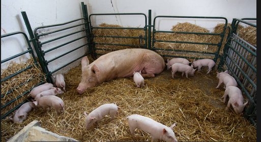 截图20260105170801.png 截图20260105170801.png