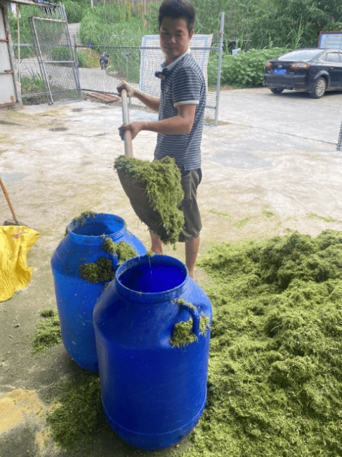 微信截图_20260106111614.jpg 微信截图_20260106111614.jpg