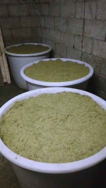 微信截图_20260106111602.jpg 微信截图_20260106111602.jpg