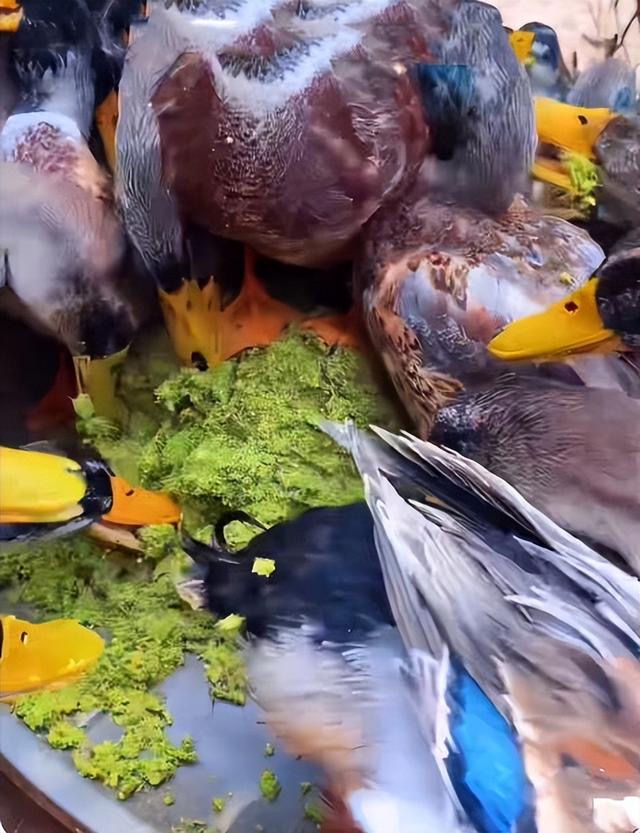 微信图片_20260106111544.jpg 微信图片_20260106111544.jpg