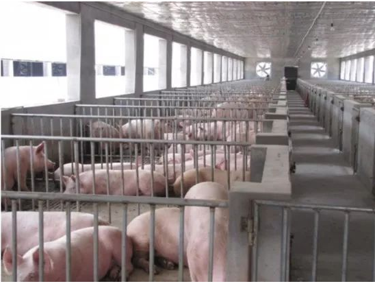 QQ浏览器截图20241113085949.png QQ浏览器截图20241113085949.png