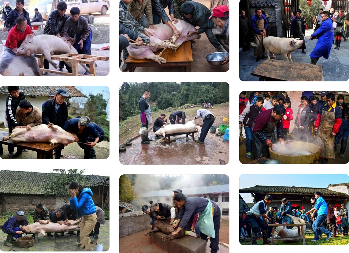 杀年猪.jpg 杀年猪.jpg