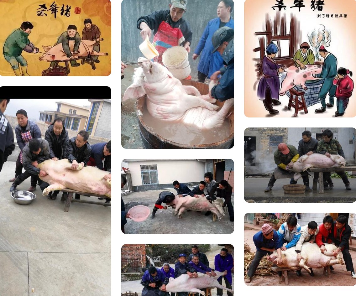 杀年猪2.jpg 杀年猪2.jpg