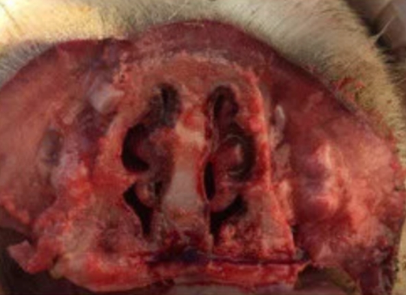 微信截图_20260114094130.jpg 微信截图_20260114094130.jpg