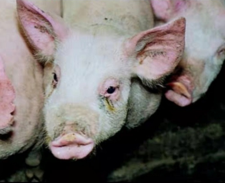 微信截图_20260114094148.jpg 微信截图_20260114094148.jpg