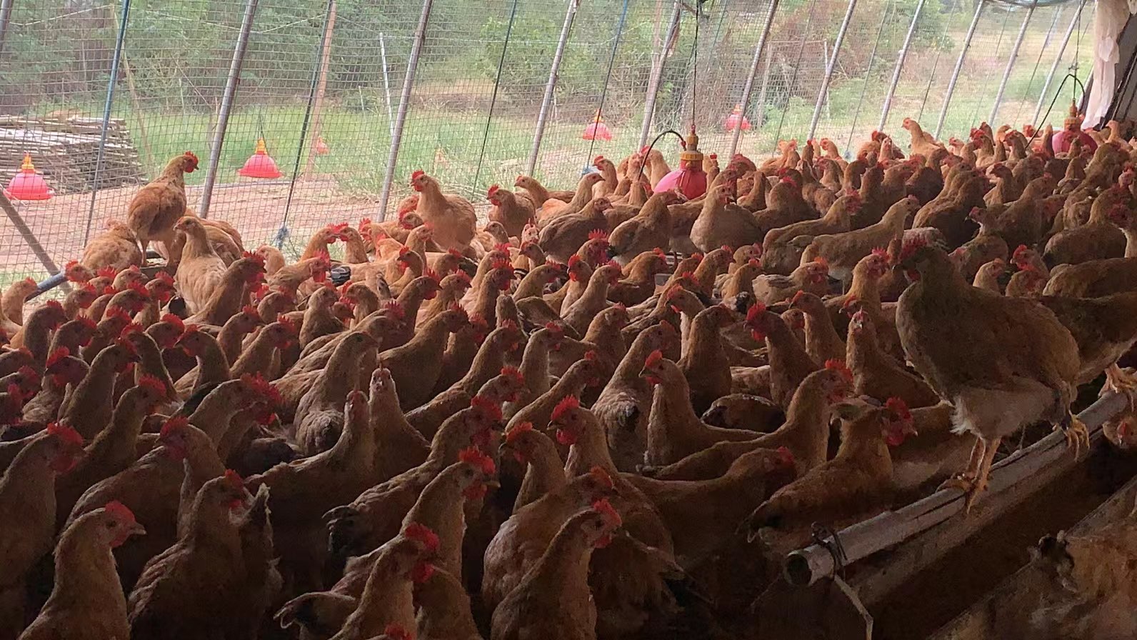 QQ图片20250923142959.jpg QQ图片20250923142959.jpg