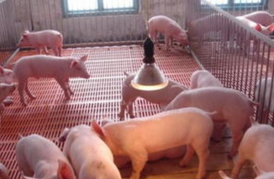 QQ浏览器截图20241106091300.png QQ浏览器截图20241106091300.png